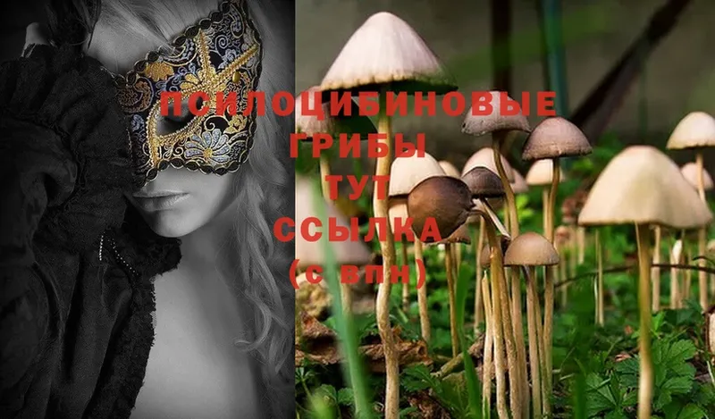 Псилоцибиновые грибы Psilocybe  Серов 