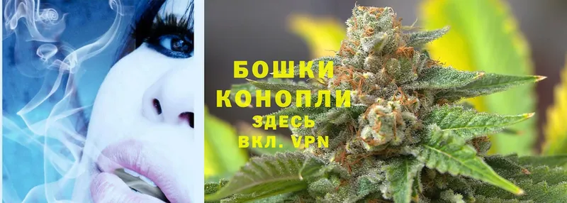 Бошки Шишки OG Kush  блэк спрут ссылки  Серов 